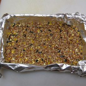 Easy to Make Suet Bird Feeders Image